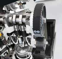 Correa de Distribución